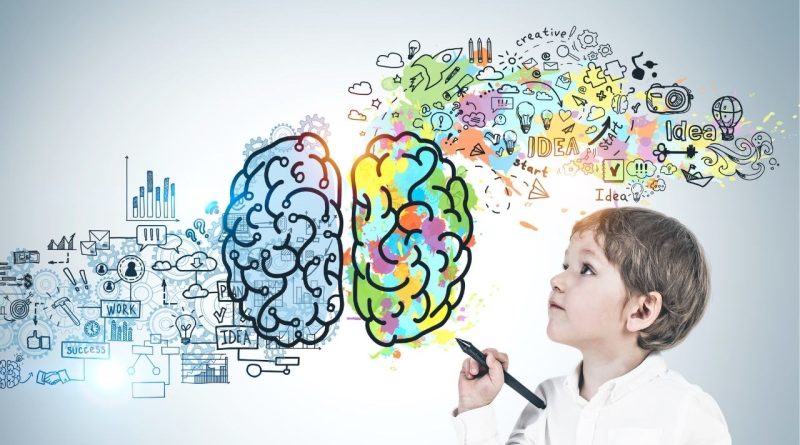 Guia Prático de Neurociência para Estudantes: Aprenda Como Maximizar Seu Potencial